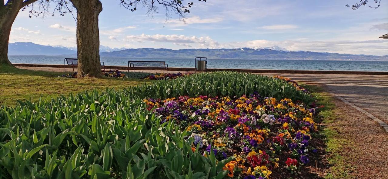 קרסברון אם בודנזי Bodensee Apartments Kressbronn "Haus Am Seepark" מראה חיצוני תמונה