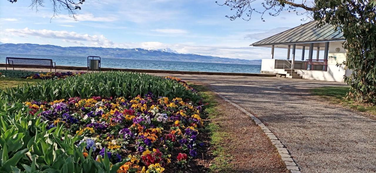 קרסברון אם בודנזי Bodensee Apartments Kressbronn "Haus Am Seepark" מראה חיצוני תמונה